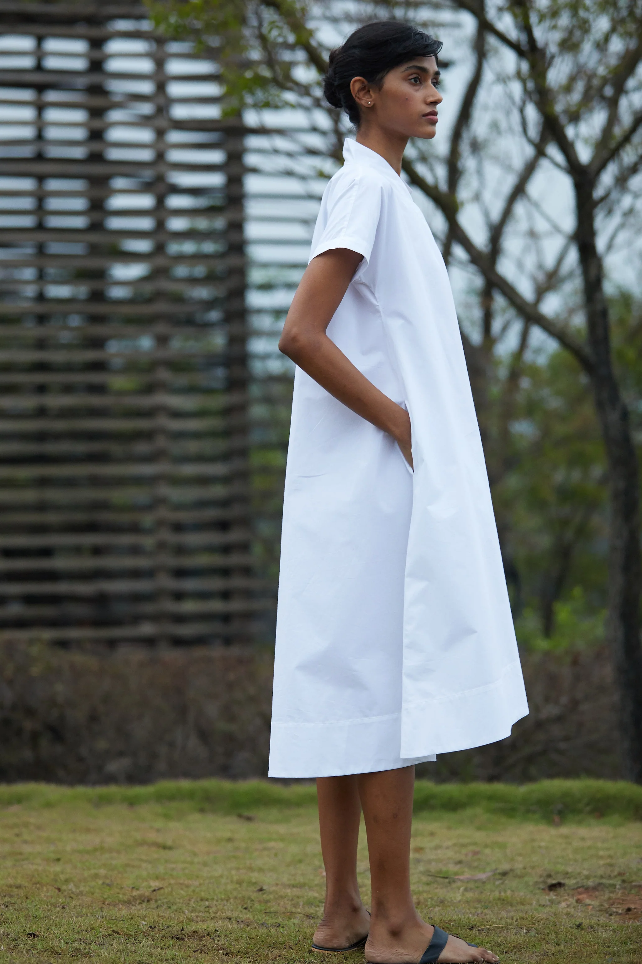 Pina - Image 5