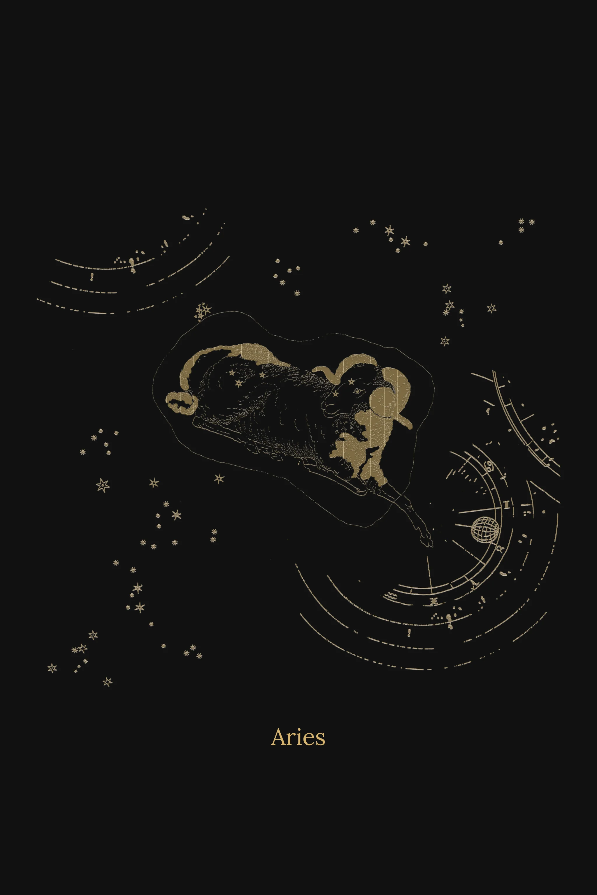 Zuben Zodiac Black Handwoven Embroidered Saree - Image 12