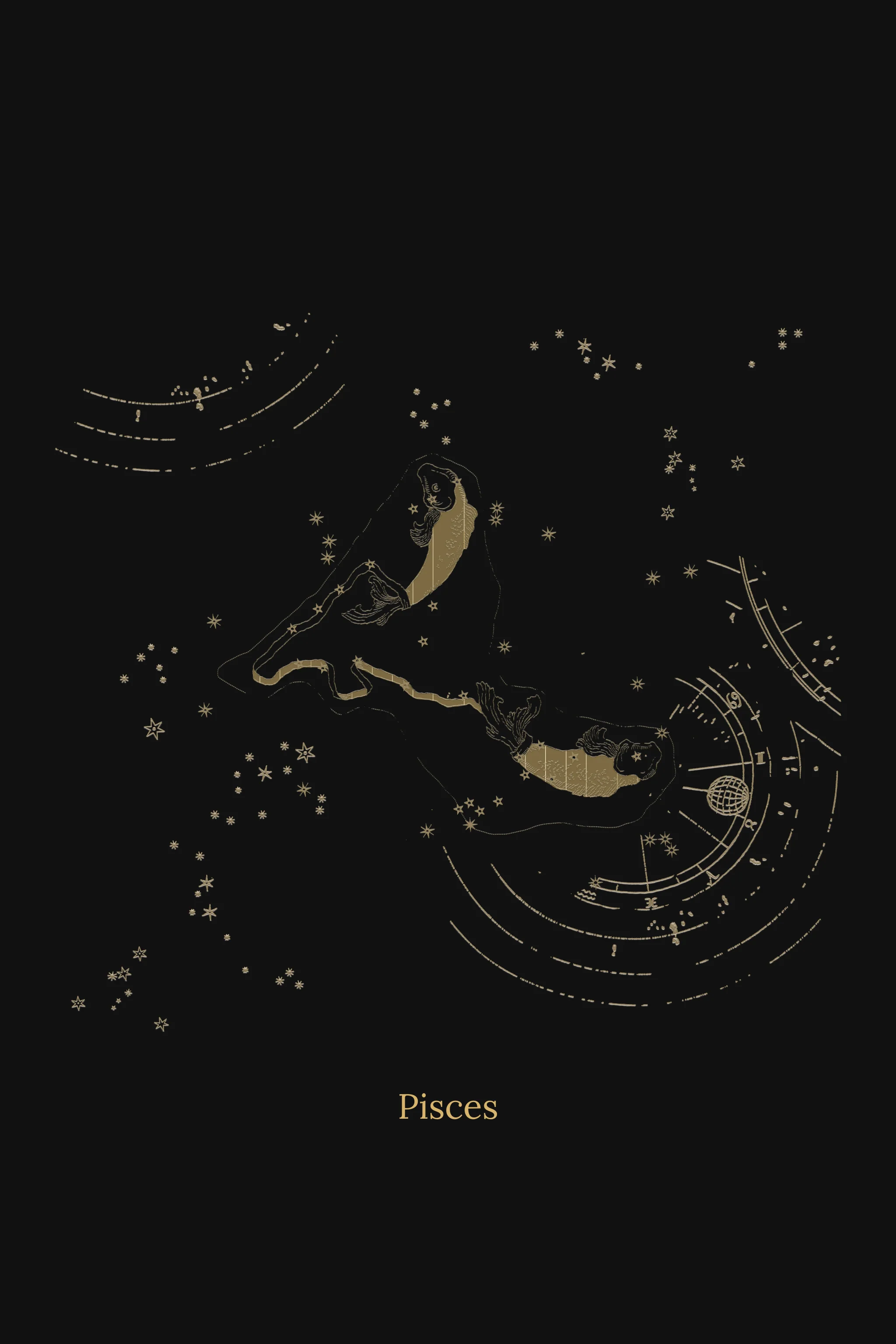Zuben Zodiac Black Handwoven Embroidered Saree - Image 16