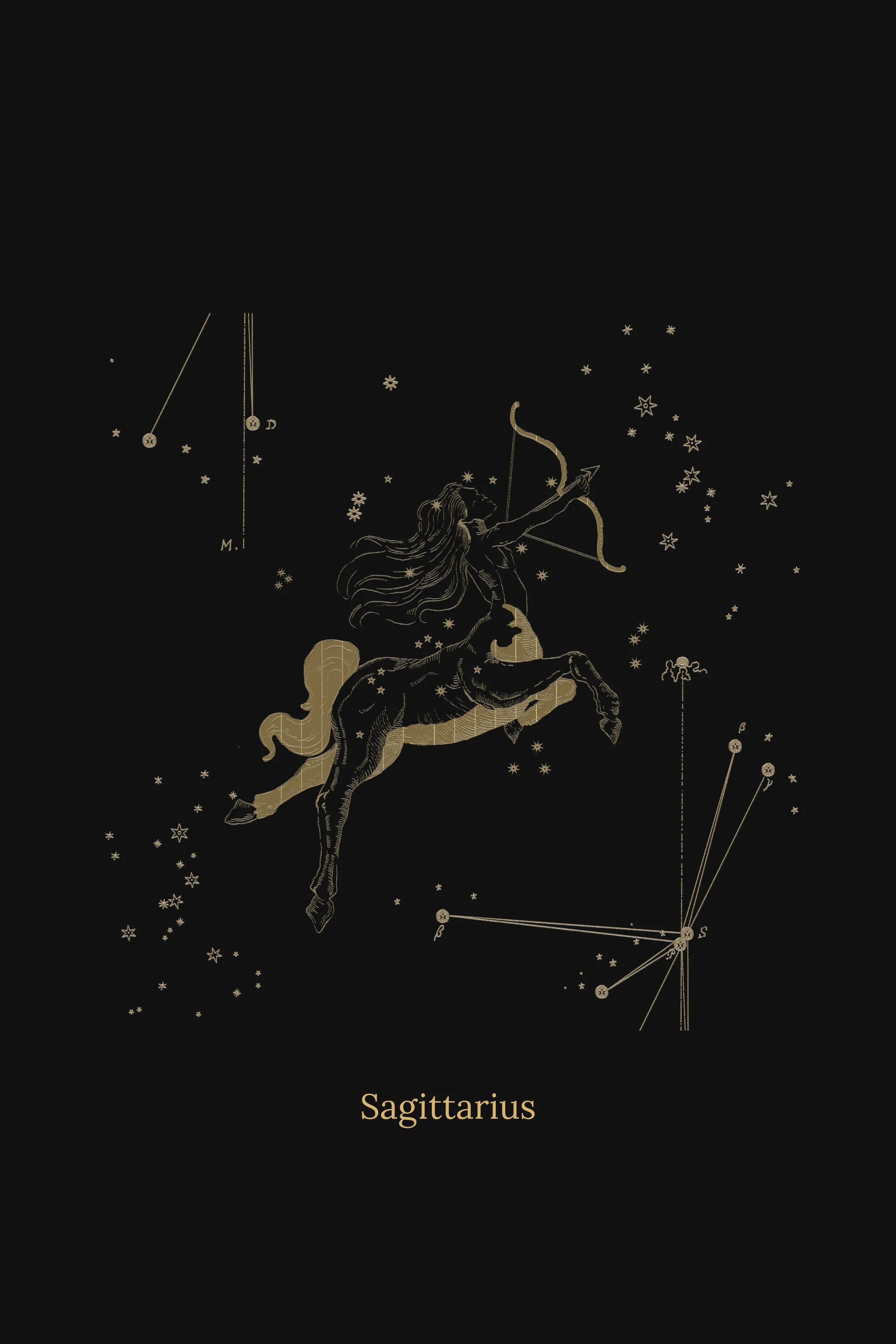 Zuben Zodiac Black Handwoven Embroidered Saree - Image 17
