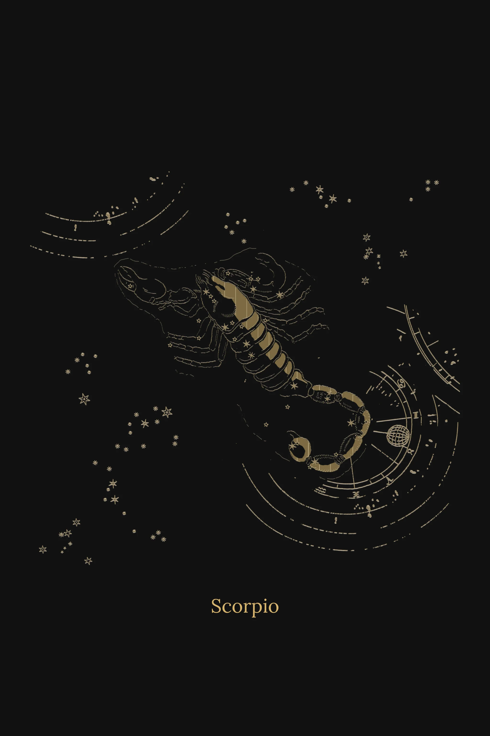 Zuben Zodiac Black Handwoven Embroidered Saree - Image 19