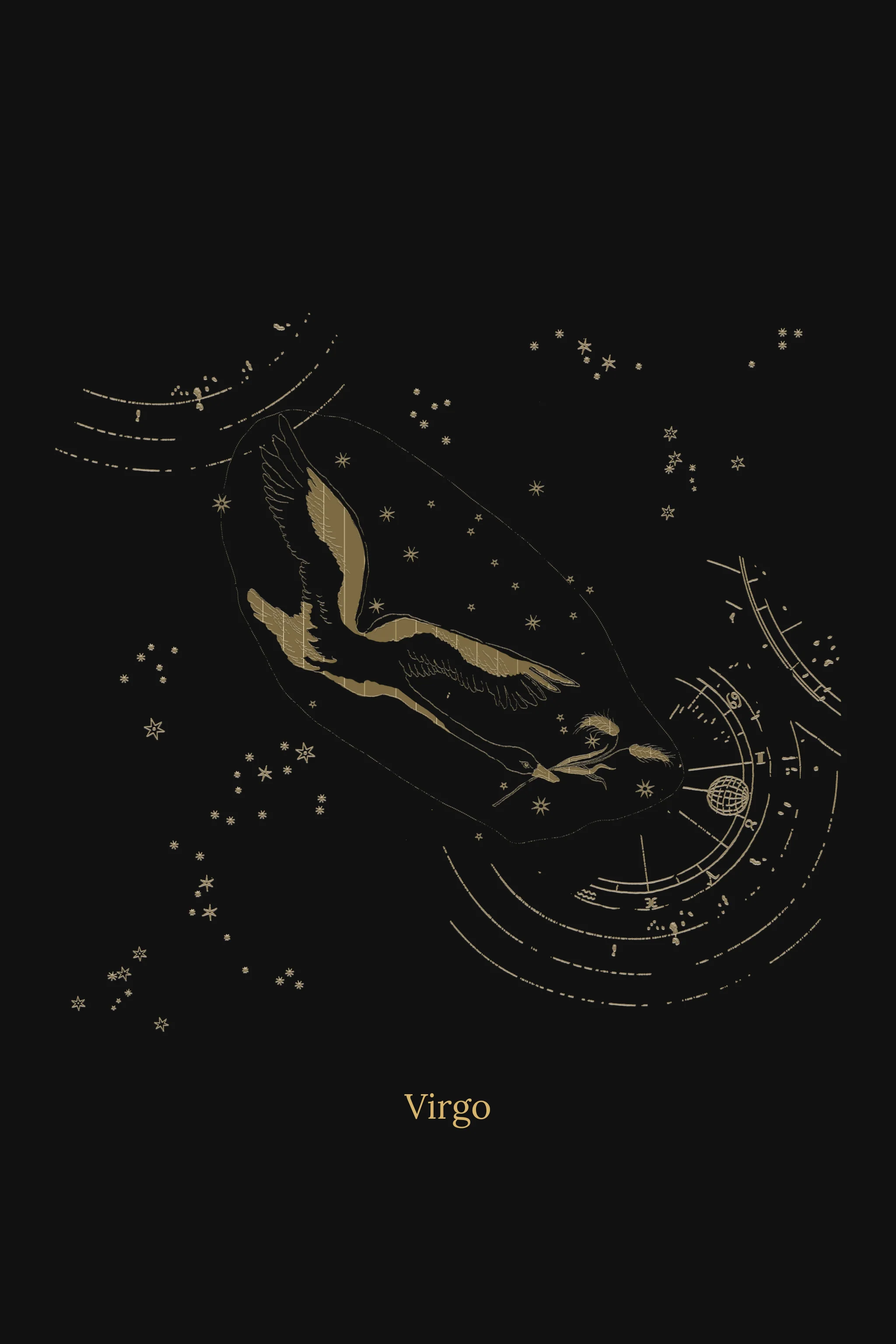 Zuben Zodiac Black Handwoven Embroidered Saree - Image 20