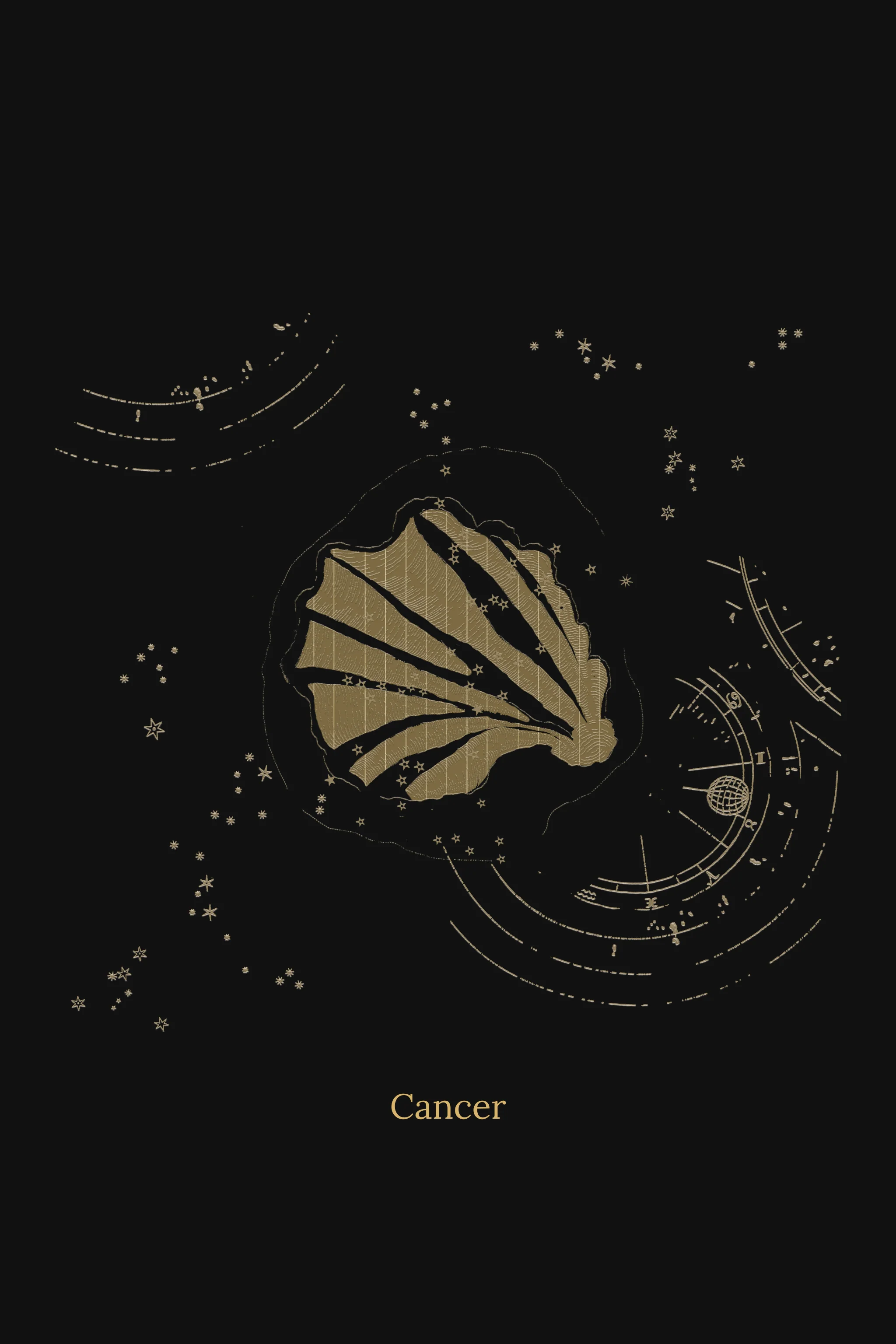 Zuben Zodiac Black Handwoven Embroidered Saree - Image 21